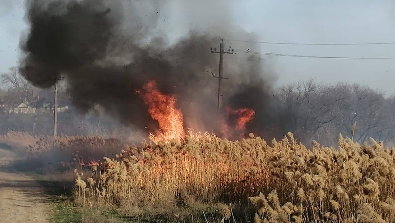    Больше всего возгораний было в Красногвардейском и Кочубеевском округах Фото: пресс-служба ПАСС СК