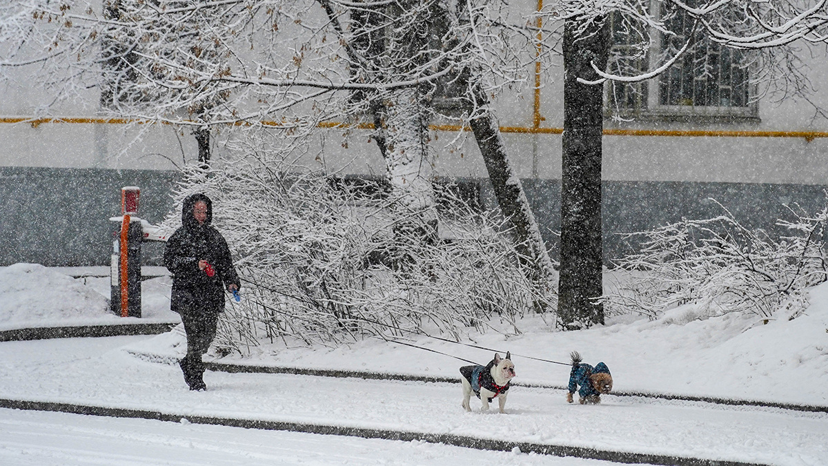    Фото: vm.ru Георгий