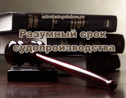 Какой срок производства по уголовным делам считать разумным?
