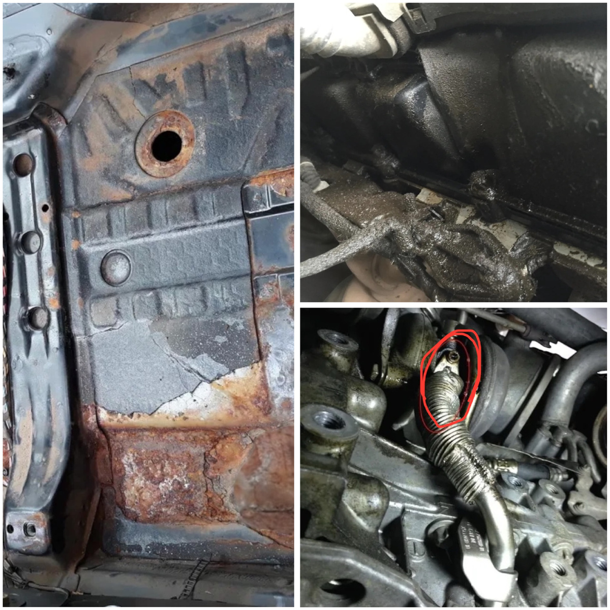 Пенсионер, видимо, ездил за хлебом... через Чечню 