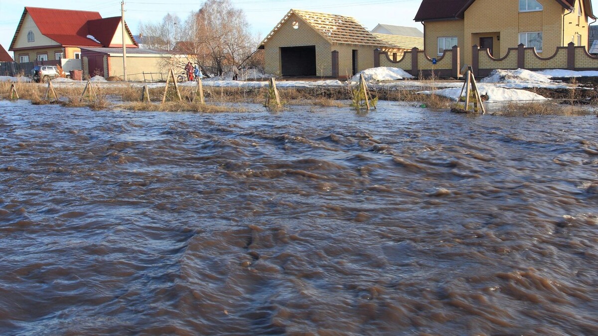    Фото: Matveychuk Anatoliy/Shutterstock/Fotodom