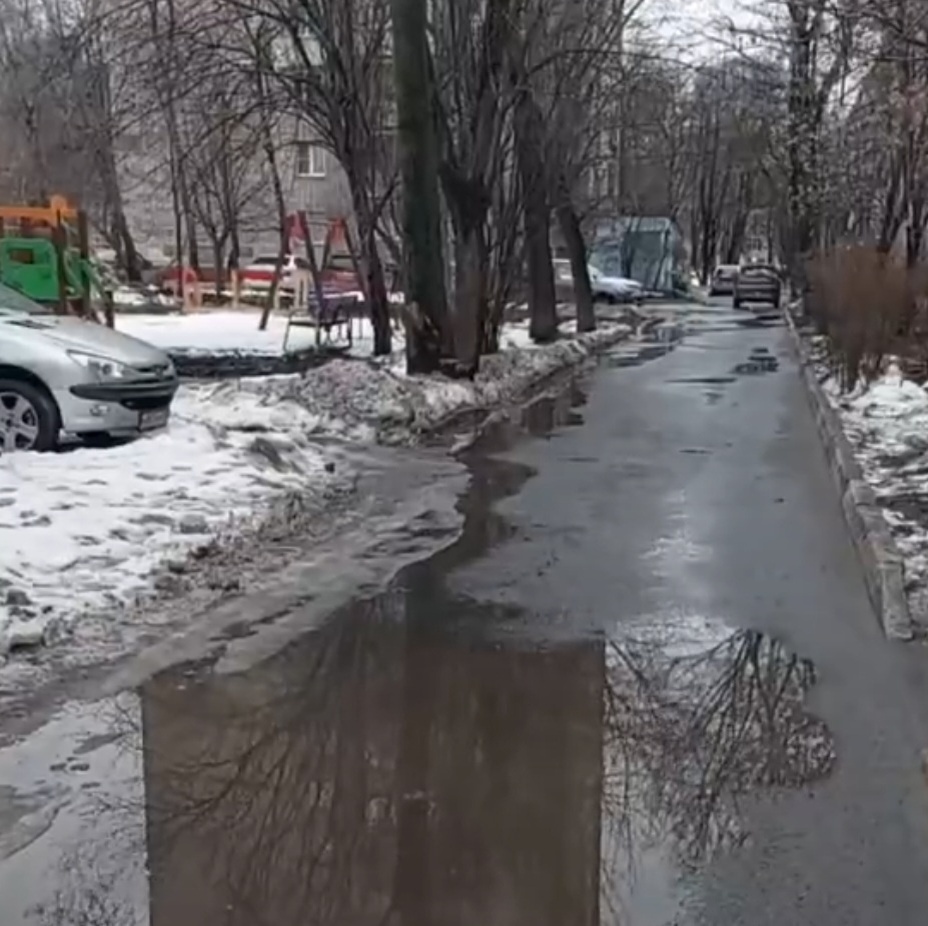 Фото автора.