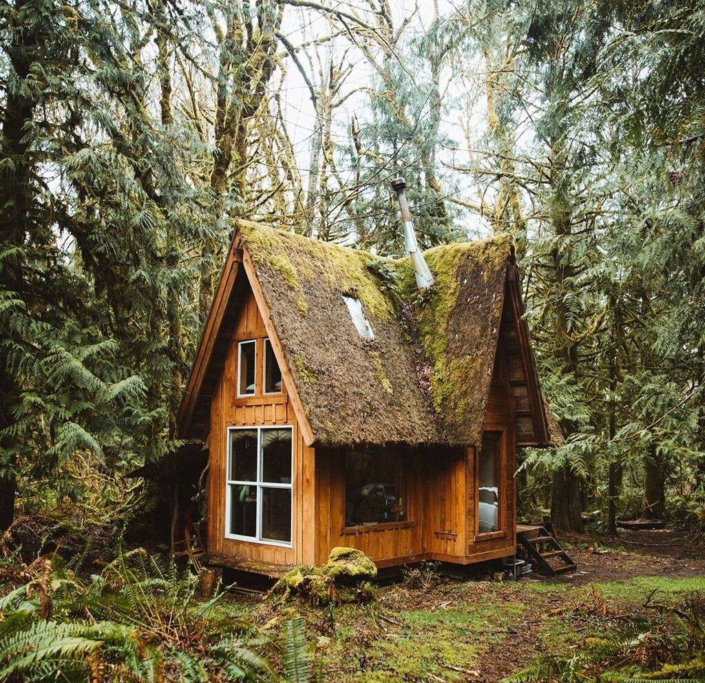 Из просторов интернета 