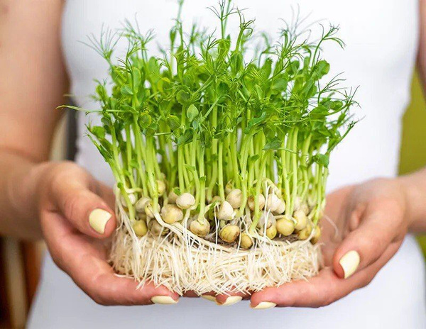 Взято из Яндекс.картинки