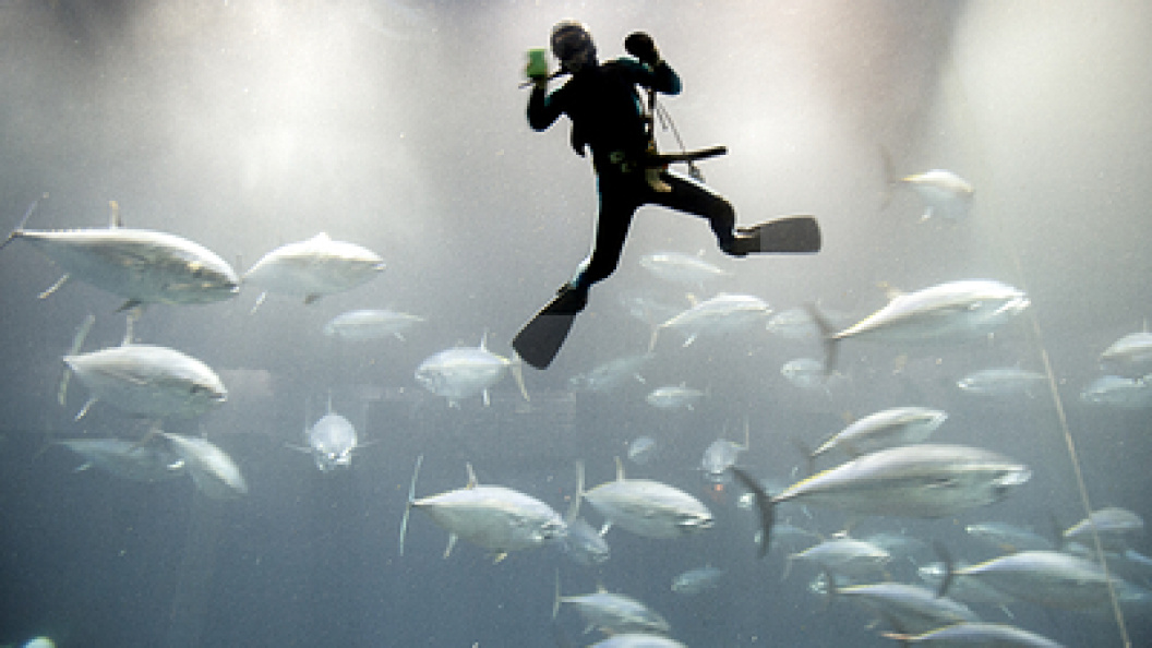    Sergey Metelitsa/Globallookpress