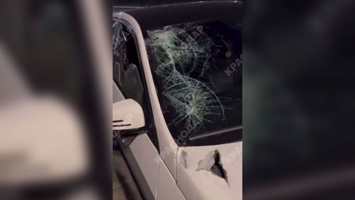    Фото: телеканал «Краснодар»