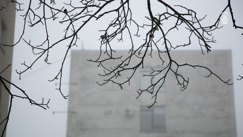      Фото: Валерия Алтухова / / ИА «Победа26»