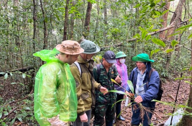    Исследователи ФНЦ агроэкологии РАН вносят важный вклад в восстановление тропических лесов во Вьетнаме