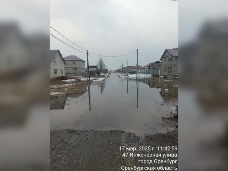    В посёлке Нижнесакмарский талые воды подтопили 14 придомовых территорий Андрей Севостьянов