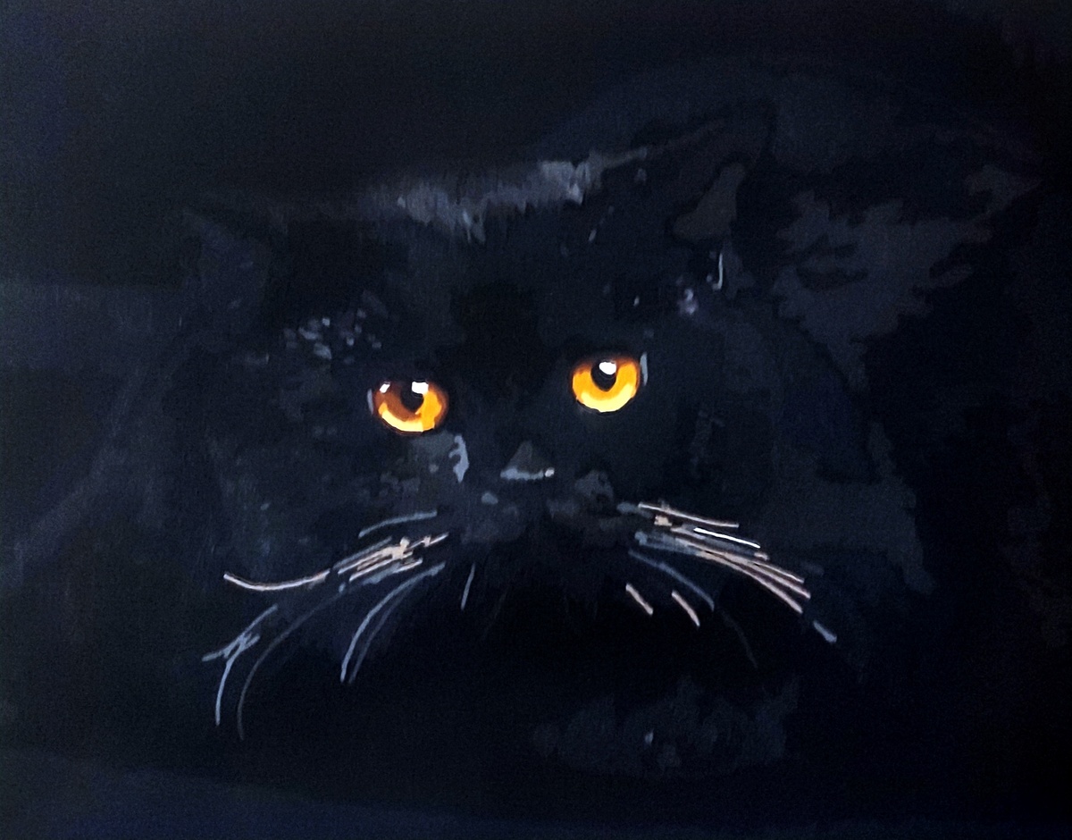 Вот такой котяра получился