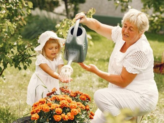    пенсионерка с внучкой в саду // фото: freepik