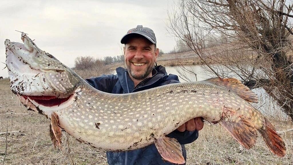     Источник: Антон Капицын