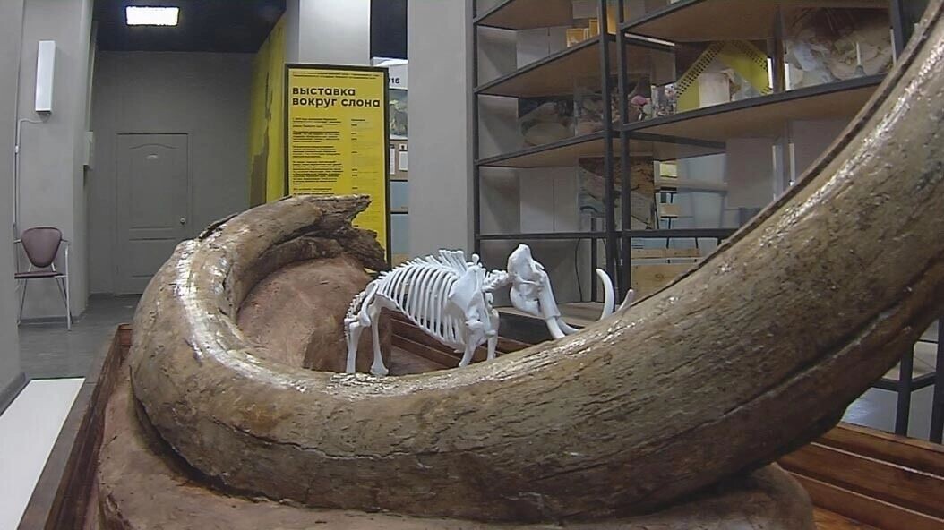     Источник: Дом Мешкова ВК