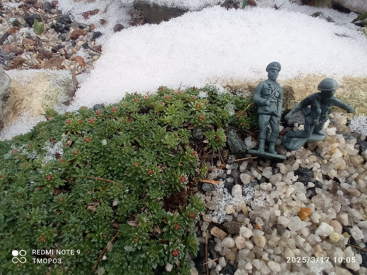 выпал снежок