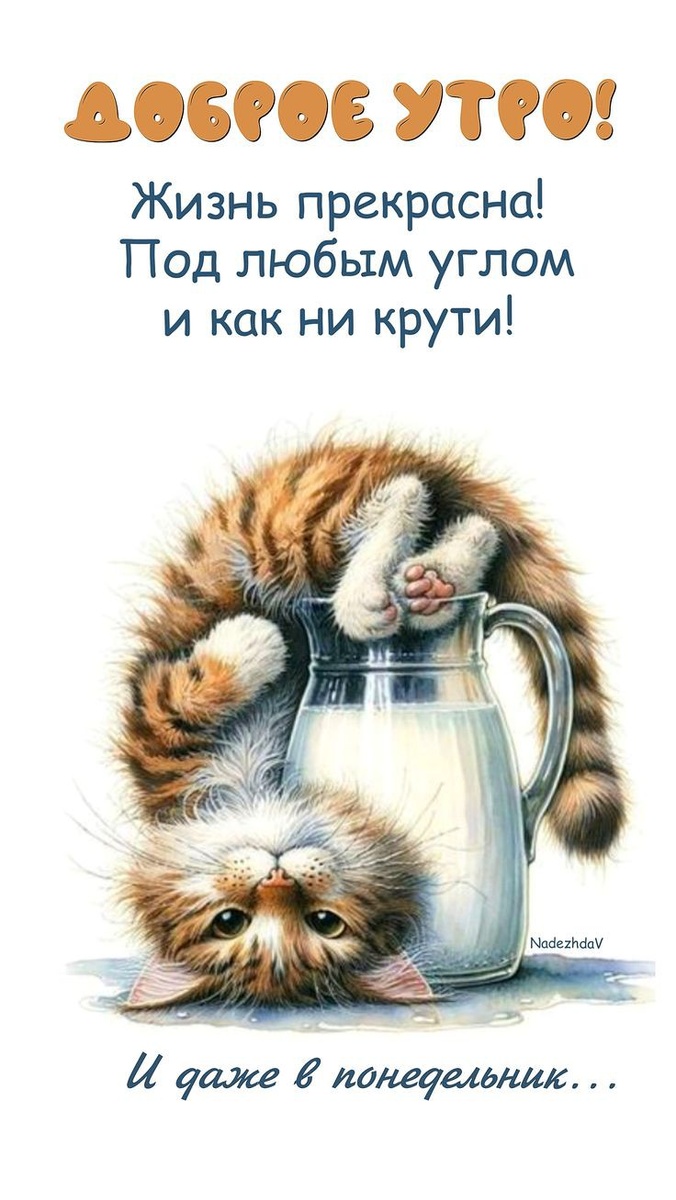 Фото из сети Интернет