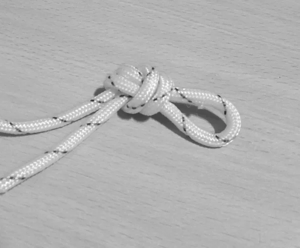 Петля проводника