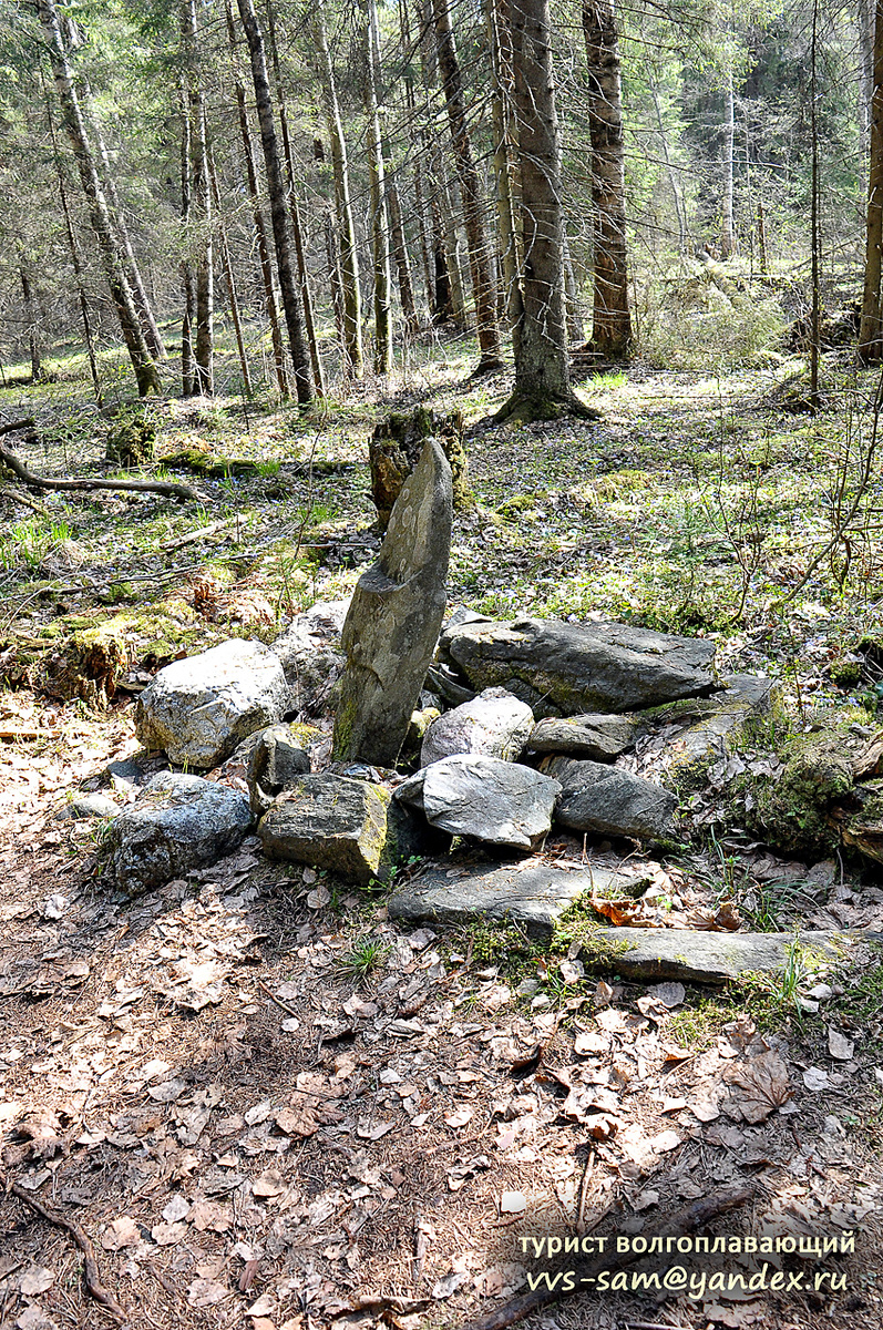 Фото 19.05.2014.