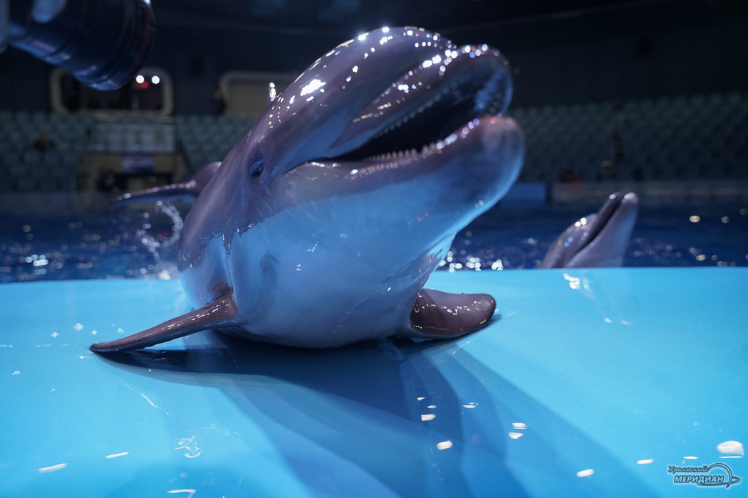    Фото: Лидия Аникина © ИА "Уральский меридиан"