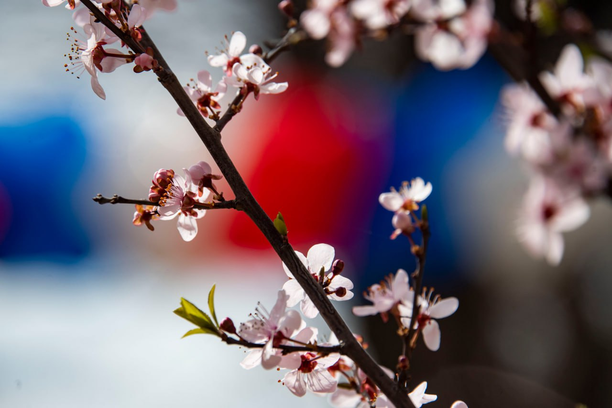 РИА Новости Крым