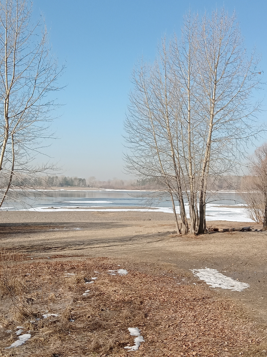 Снег тает с каждым днем. Обь