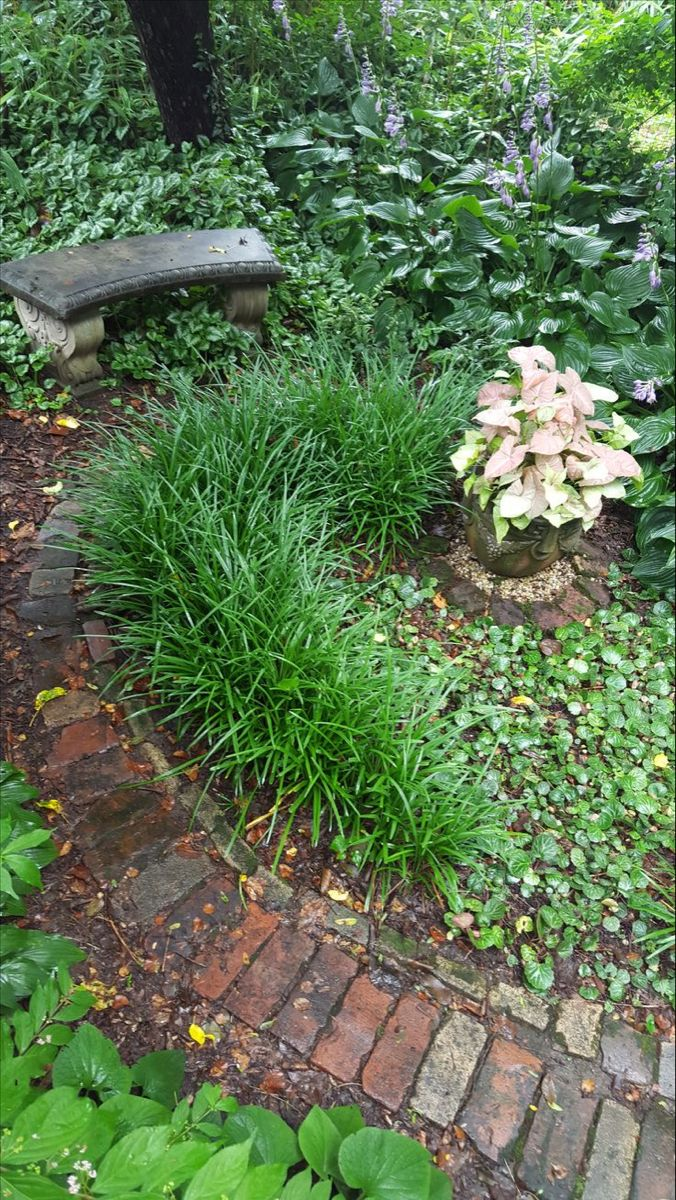 Фото из Pinterest