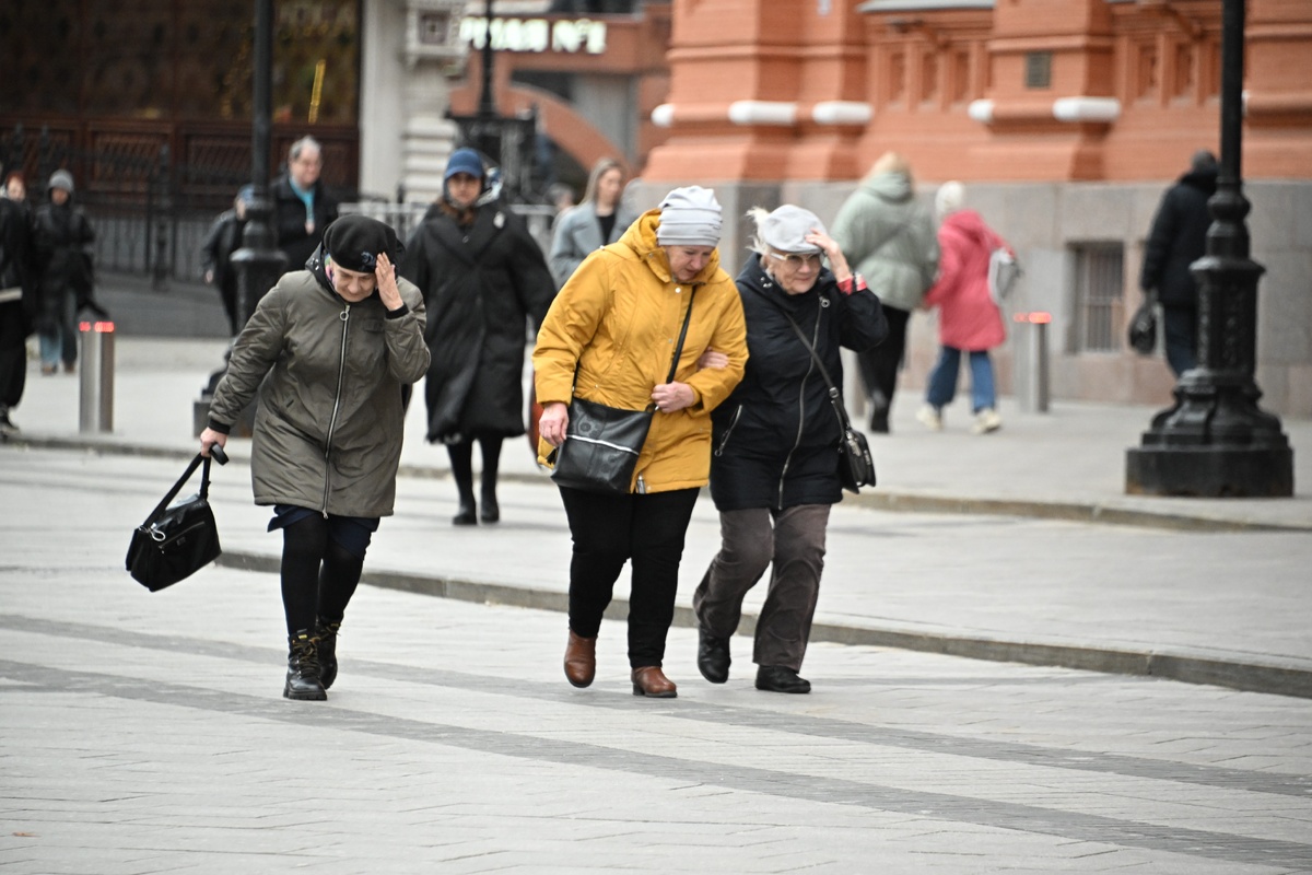 Люди которые живут в петербурге. Люди которые живут в петербурге