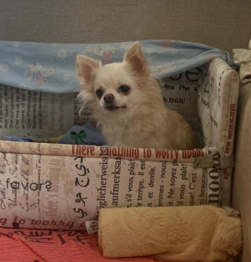 Можно листать ------->