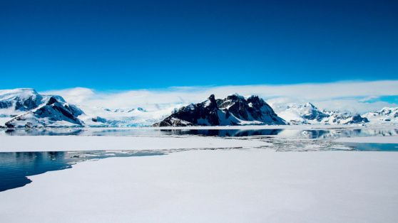    Ученый в Антарктиде напал на коллег на изолированной станции, пишет The Times ©evenfh / Shutterstock/Fotodom