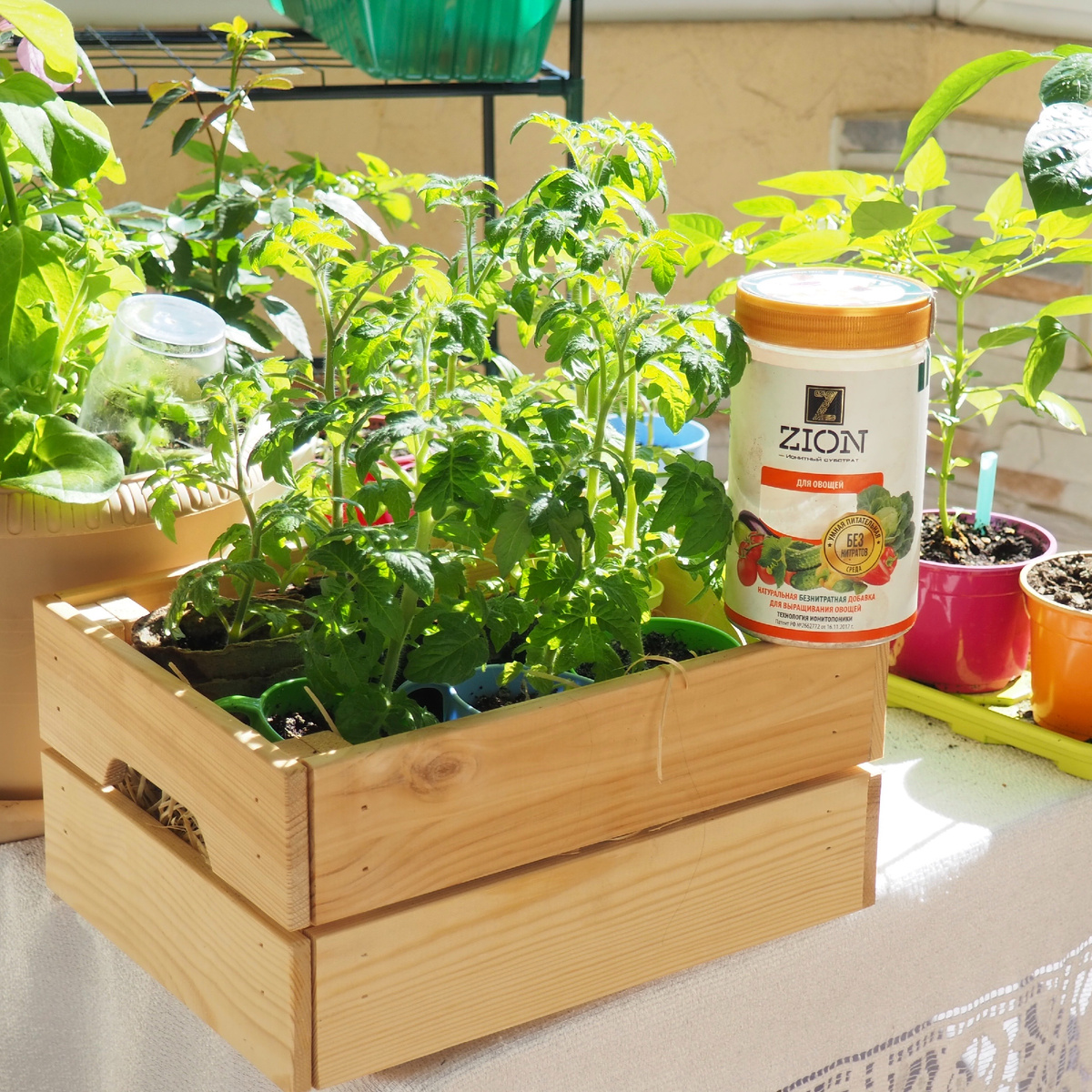 Удобрение для рассады