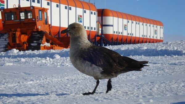    © South African National Antarctic Programme