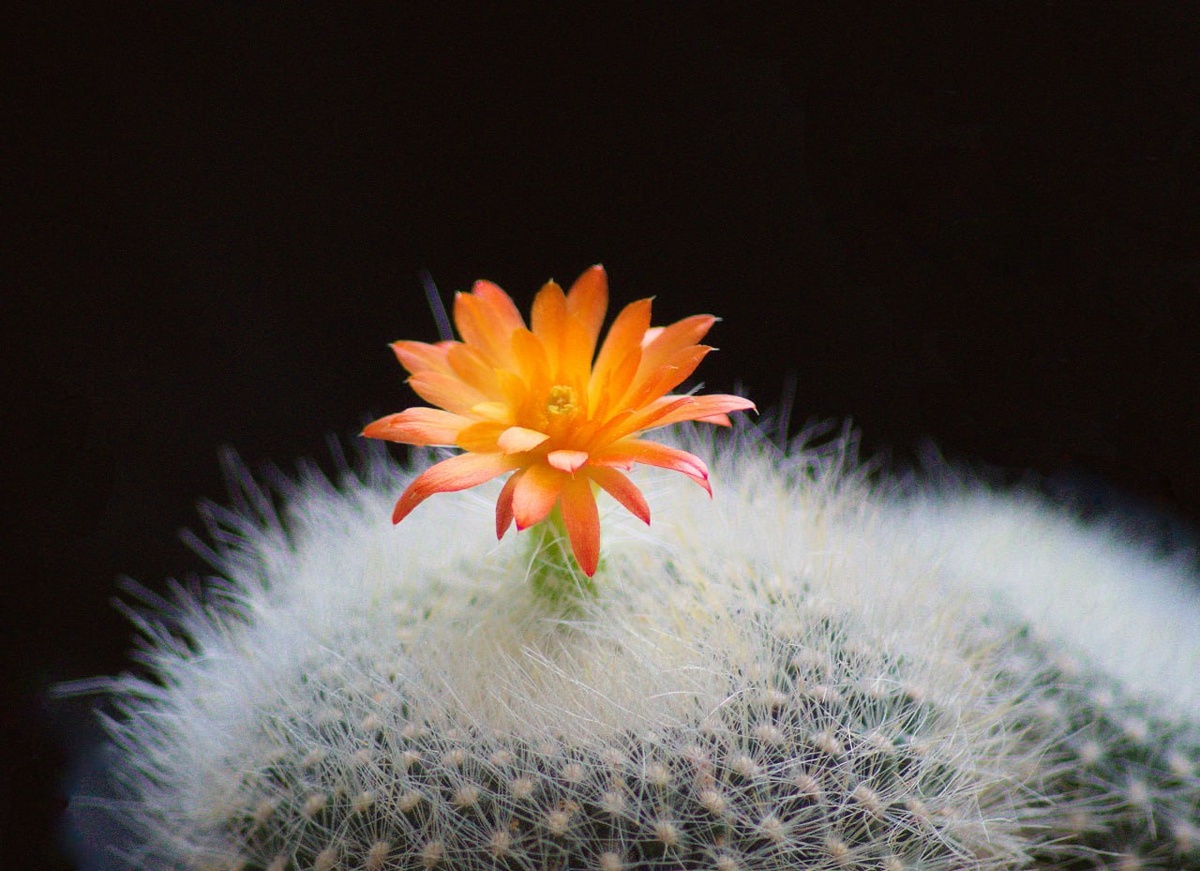 Все фото авторские. 