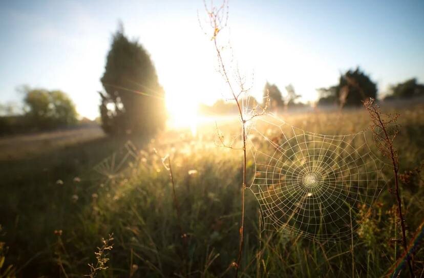 Фото из интернета