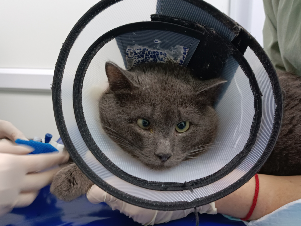 На обследовании Кося не проронил ни звука. Молодец.