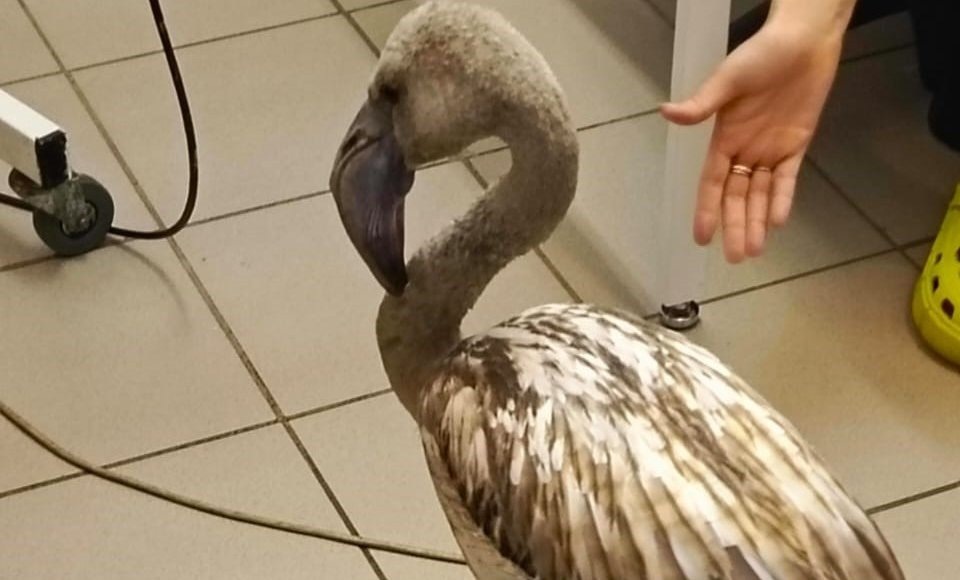    Фото: Росприроднадзор