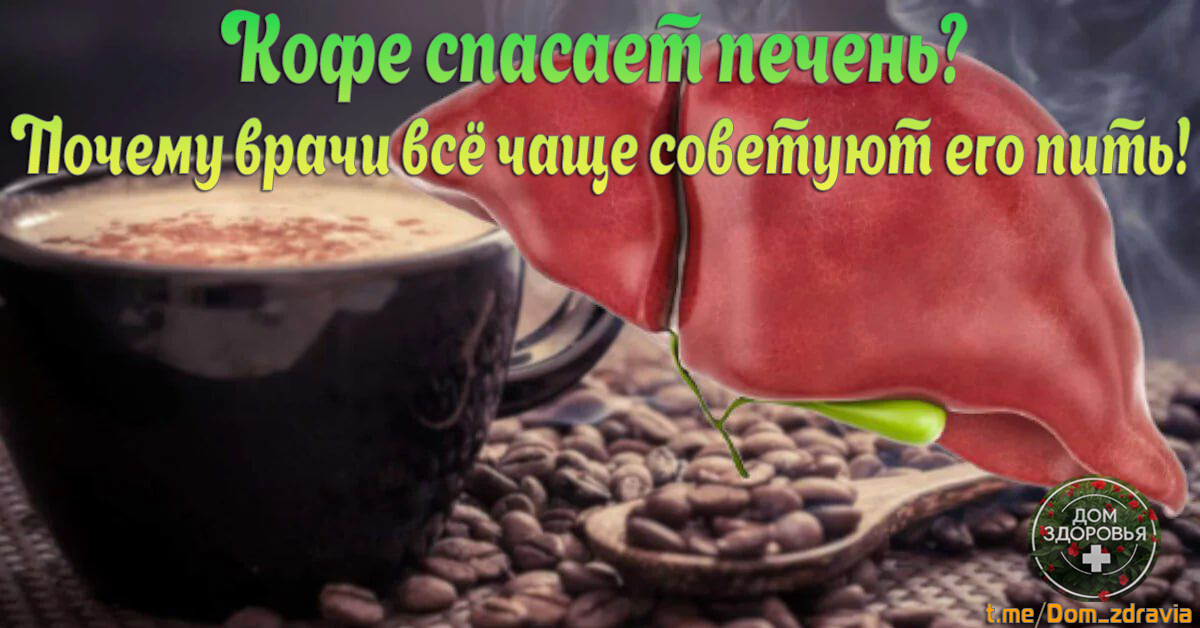 Кофе спасает печень?