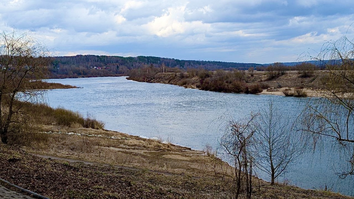 Фотография из личного архива автора. Таруса.