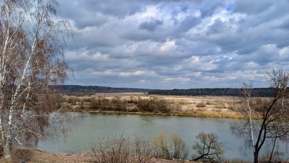 Фотография из личного архива автора. Таруса.