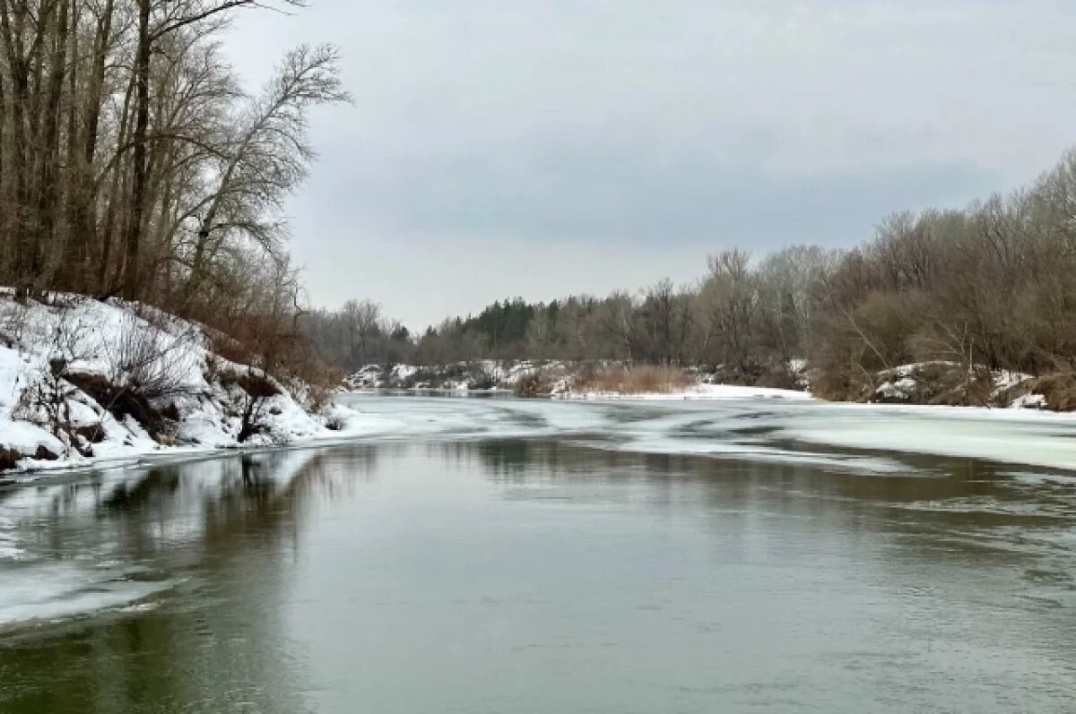    У Бузулукского бора закрыта дорога из-за подъёма воды
