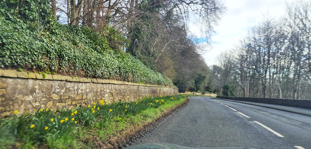 Фото из личного архива.