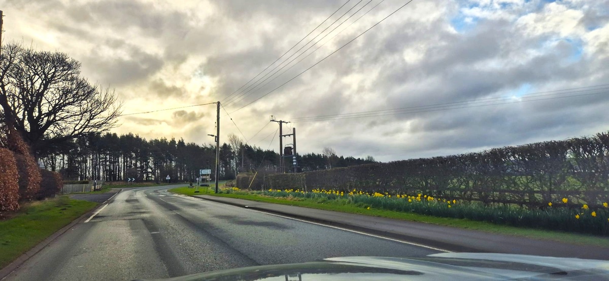 Фото из личного архива.