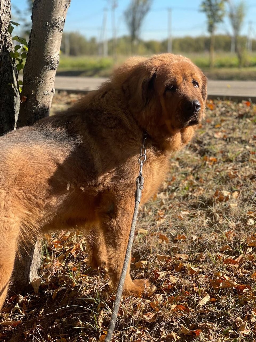 Никто не знал, как дальше сложится её судьба