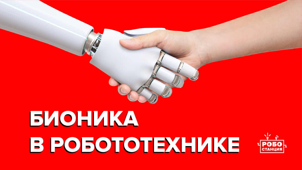 коллаж автора