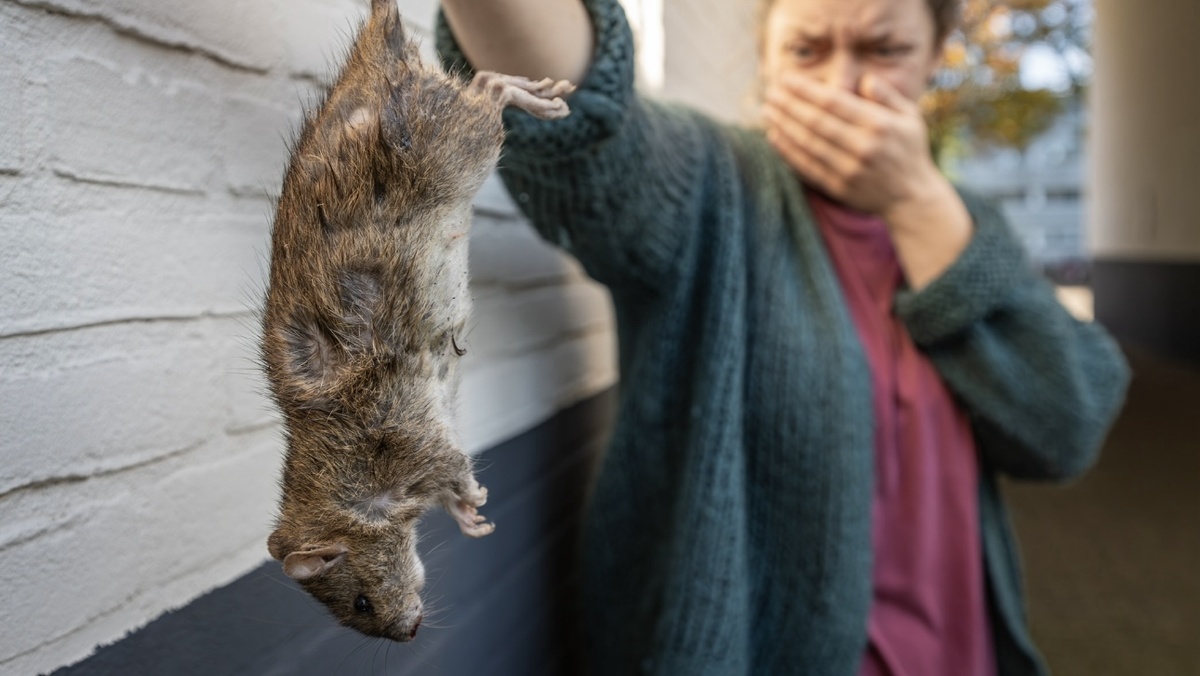    Фото: vm.ru Георгий