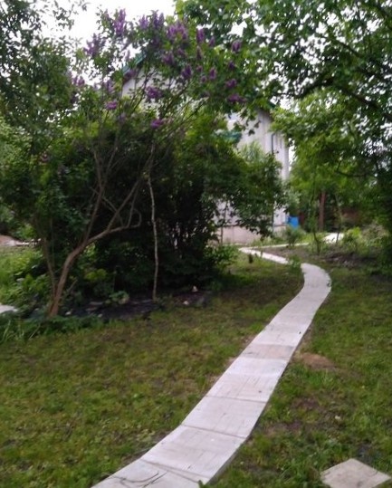 Зародыш моего сада в 2017 году