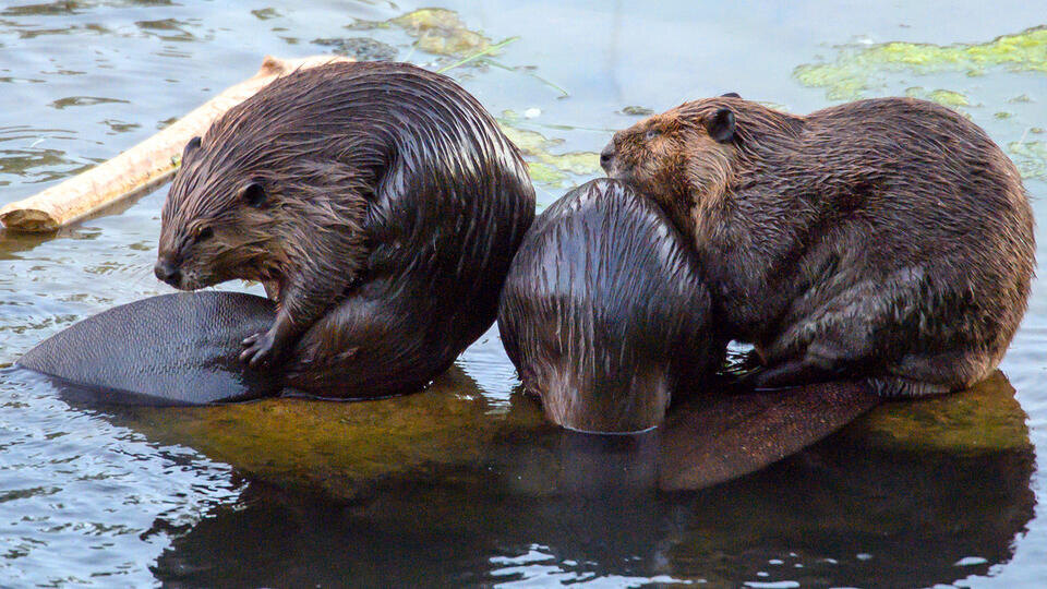 Фото: © TASS/Zuma