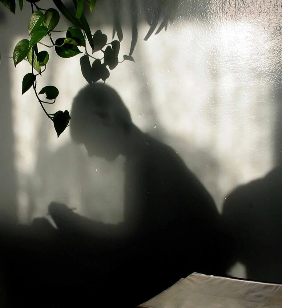 Источник фото https://sizka.ru/domashnie/lyubyashie/ten/