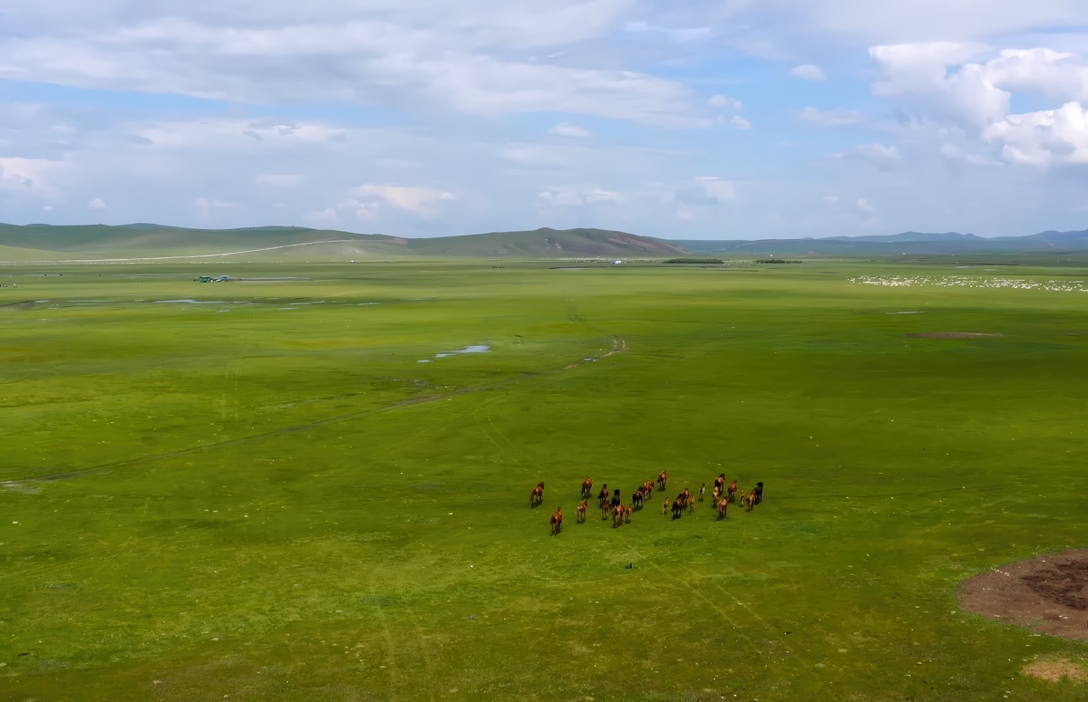 Бескрайние степи Монголии.