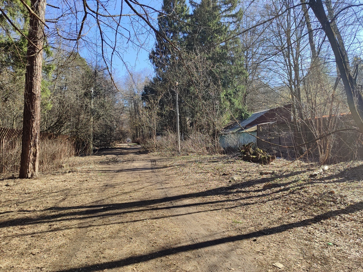 улица Есенина в 2025 году