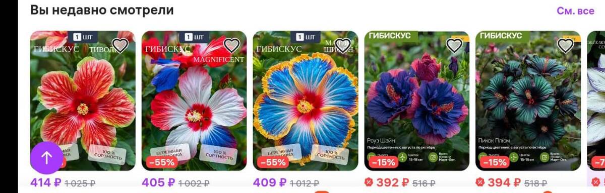 Скриншот с Вайлдберриз 