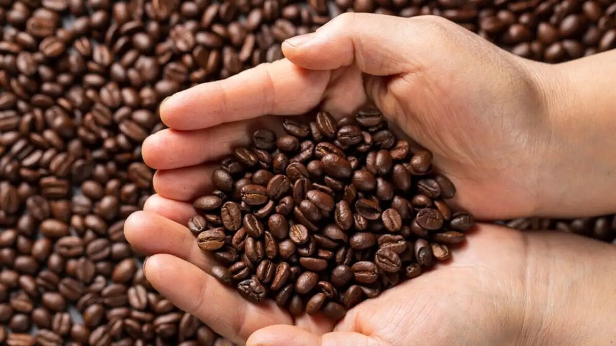    Кофейные зёрна.